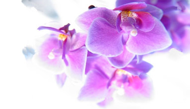 � Sergey A. Pristyazhnyuk - Fotolia.com