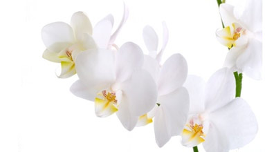 � evgenyb - Fotolia.com